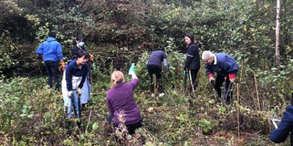 Students and staff volunteering on a Wild Work Day in the countryside